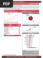 Aditya Birla Multiplier Fund Overview | PDF | Stocks | Investing