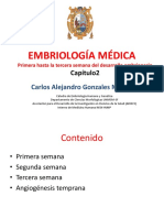 embriologamdicaprimerahastatercerasemanacarlosgonzalesunmsm-121201103043-phpapp02.pdf