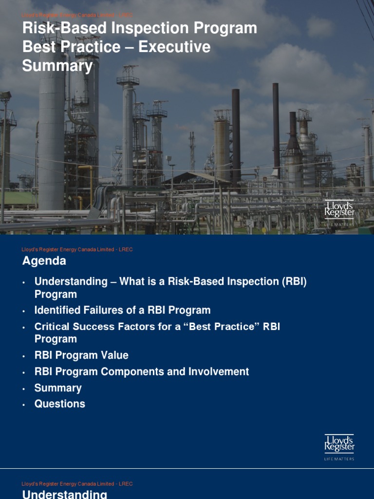Risk-Based Inspection Program Guide | PDF | Performance Indicator | Risk