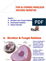 Nukleus Materi Genetik