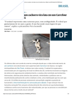 A Brutal Morte de Um Cachorro Vira-lata Em Um Carrefour Leva o Brasil Ao Divã _ Brasil _ EL PAÍS Brasil