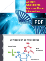 ÁCIDOS NUCLEICOS