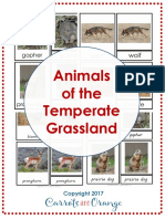 Animals of the Grassland