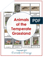 Animals of The Grassland
