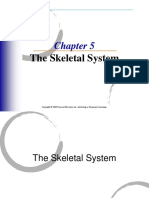 Skeletal Sistem
