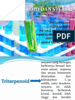 Triterpenoid Dan Steroid