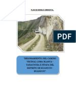 anexo 1 PLAN DE MANEJO AMBIENTAL (1).pdf