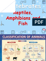 Reptiles, Amphibians & Fish Y3