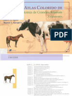 Atlas Colorido Anatomia de Grandes Animais PDF