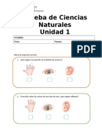 Prueba Sentidos