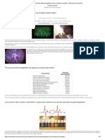 Frecuencia Electromagnética de Los Aceites Esenciales - Esencias en Armonia