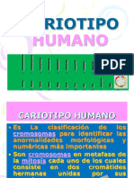 CARIOTIPO HUMANO