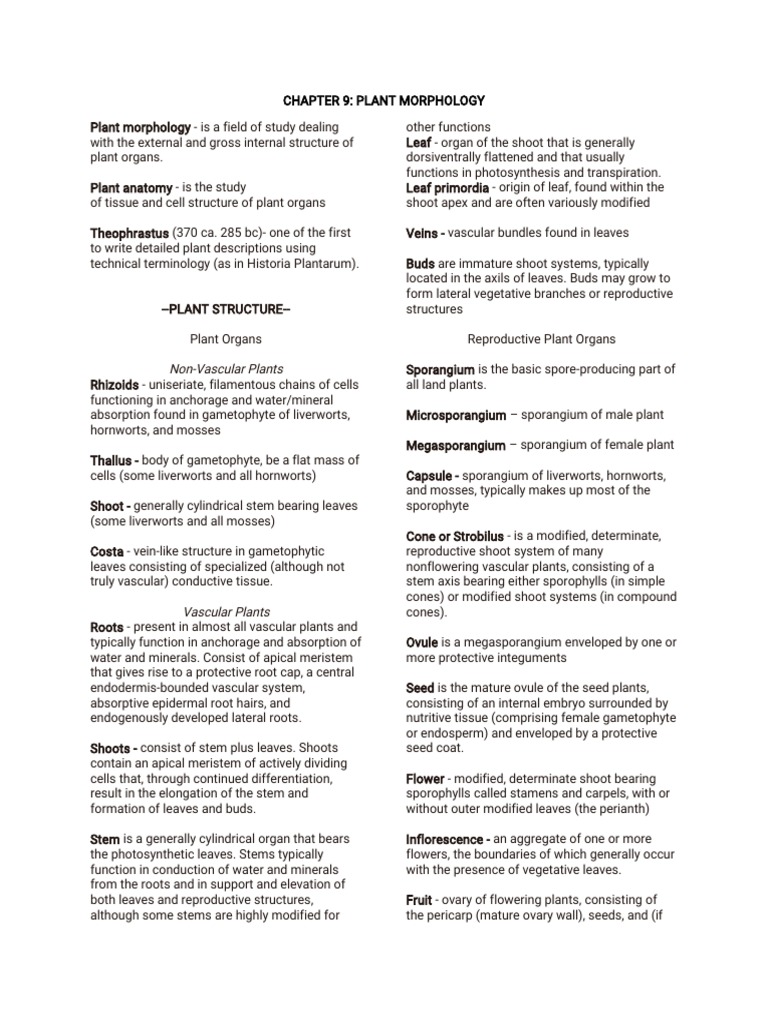 Botany Terms PDF Branches Of Botany Plant Morphology