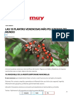 Las 10 Plantas Venenosas Más Peligrosas Del Mundo