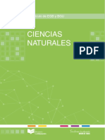 CCNN1.pdf