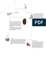 Evidencia 7 Mapa Mental Tasa de Cambio