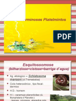 Biologia PPT - Aula 2 - Verminoses Platelmintos