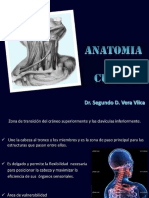 anatomia-del-cuello 2019.pptx