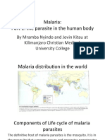 Malaria: Part 1: The Parasite in The Human Body