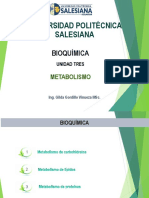 metabolismo