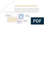 Composición química del ADN y su duplicación.docx