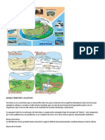 BIOMAS TERRESTRE Y ACUATICOS.docx