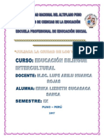 Juliaca PDF