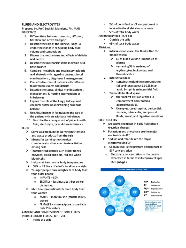 Understanding Fluid and Electrolyte Balance | PDF | Kidney | Homeostasis