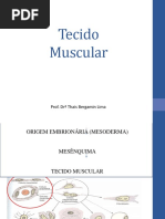 Tecido Muscular THAIS