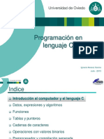 Lenguaje C PDF