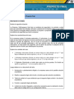 Proyecto Final PDF