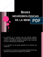 BASES NEUROBIOLOGICAS.pptx