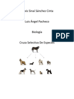 Cruza de Animales