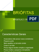 Biologia PPT - Briofitas