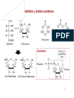 Bioquimica - acidos nucleicos