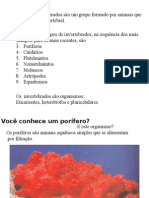 Biologia PPT - Invertebrados Marinhos II