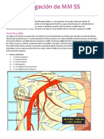 Irrigacion de Mmss