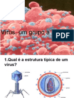 Biologia PPT - Maxi - Virus