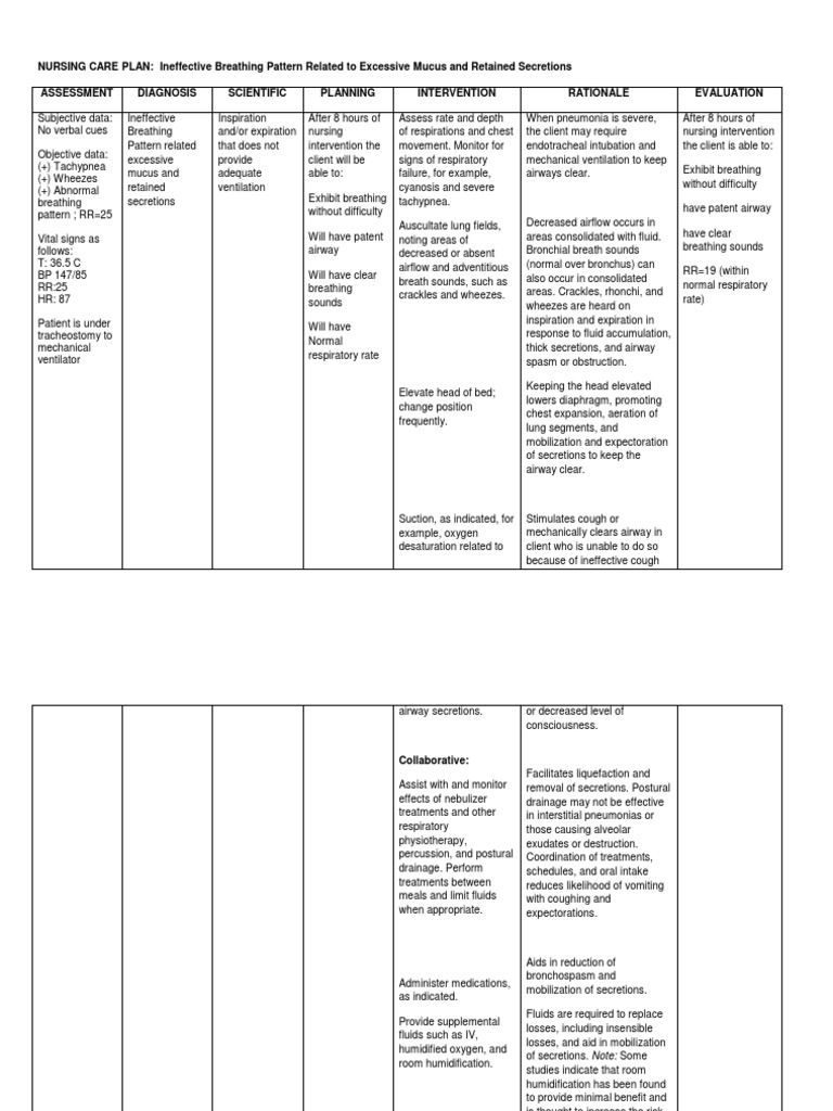 Nursing Care Plan Impaired Breathing Patterndocx Respiratory Tract