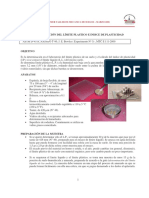 v1_Determinacion del limite Plastico.pdf