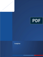 Inflsi PDF