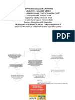 B3 A1 Mapa Aspectos Salud Edu Inicial Infografia Flores Magdalena 19 Marzo 2019