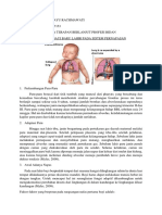 Adaptasi Sistem Pernapasan BBL