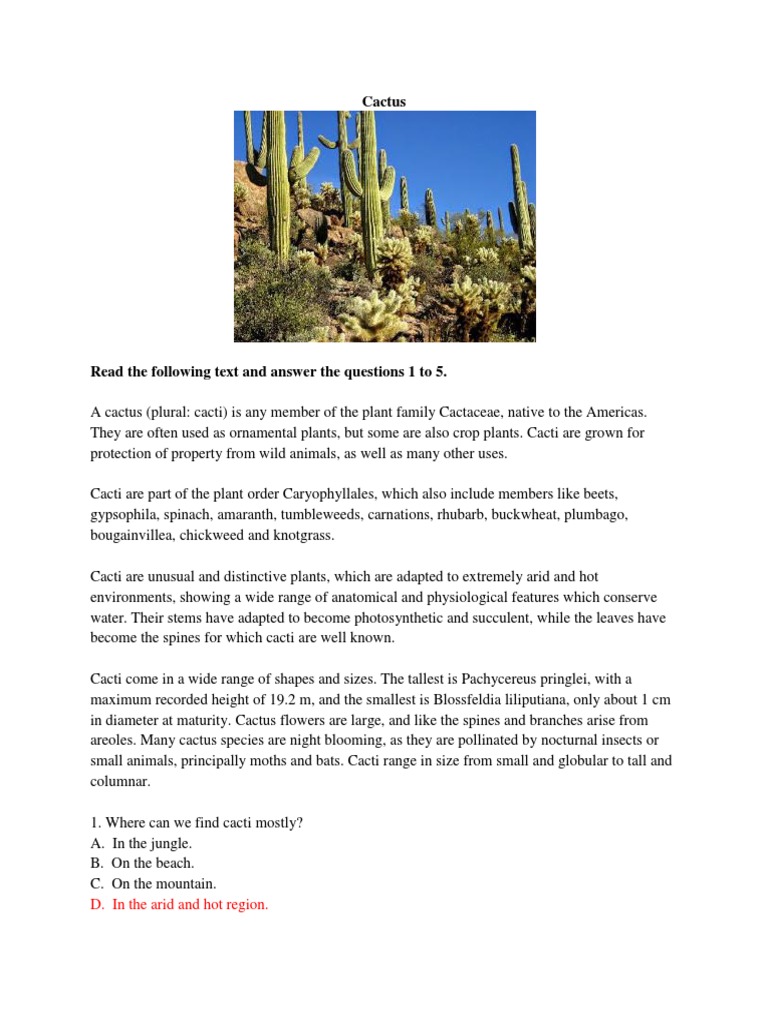 Overview of Cacti Characteristics | PDF | Bees | Insects