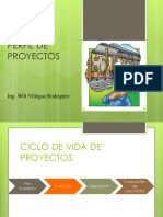 Perfil de proyectos: Ciclo de vida y etapas de preinversión