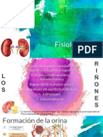 Fisiologia Renal 