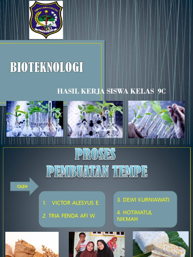 Proses pembuatan tempe Proses pembuatan tempe