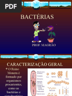 Biologia PPT - Reino Monera - Bactérias