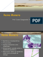 Biologia PPT - Reino Monera - Bactérias 1