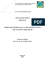 270_panaitescu-liess_radu_-_rezumat_ro.pdf